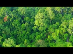 चीन EV चार्जर आपूर्ति-DAO इलेक्ट्रिक वाहन के लिए चार्जिंग समाधान